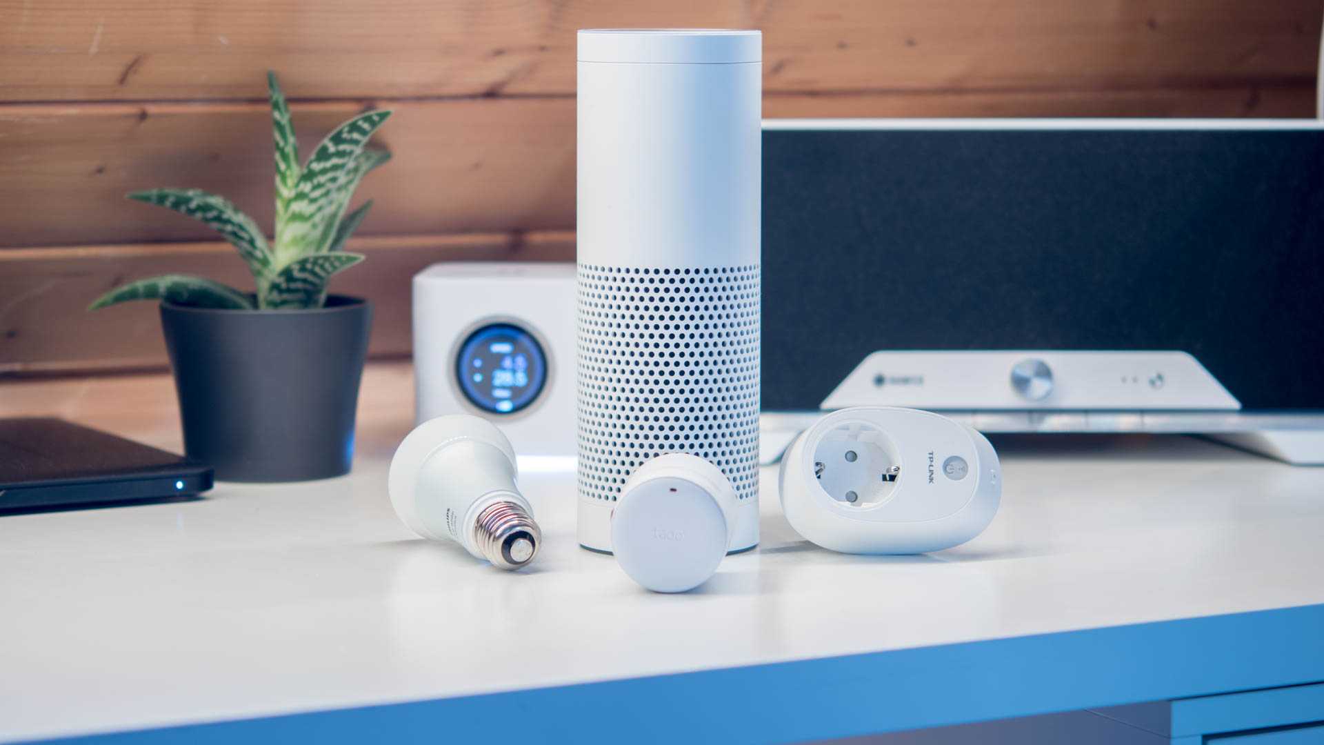 Smart Lighting & Automation